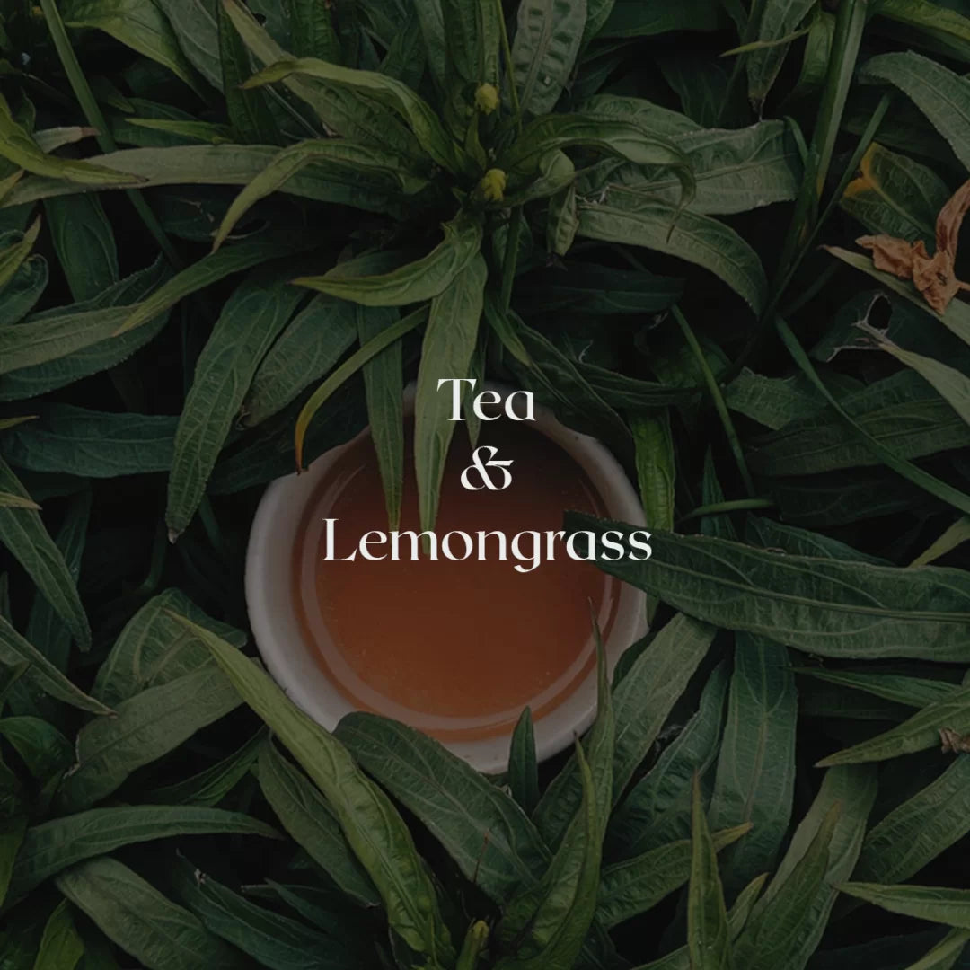 شمعة Tea & Lemongrass (Cereria Mollá)