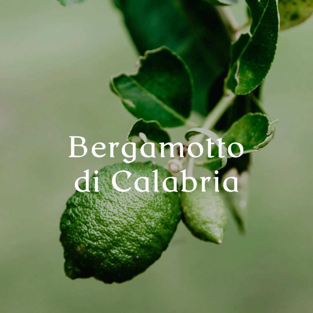 موزّع عطر بالعصي Bergamotto di Calabria (Cereria Mollá)